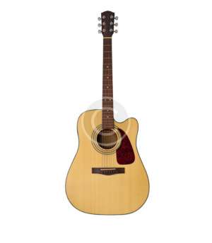 Acoustic Guitar